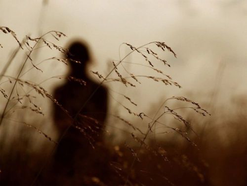 Амьдралд тохиох 10 үнэн